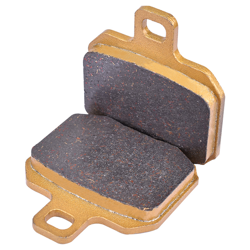Remblokken voor en achter voor - Brake Pads Bike recensie en prijs